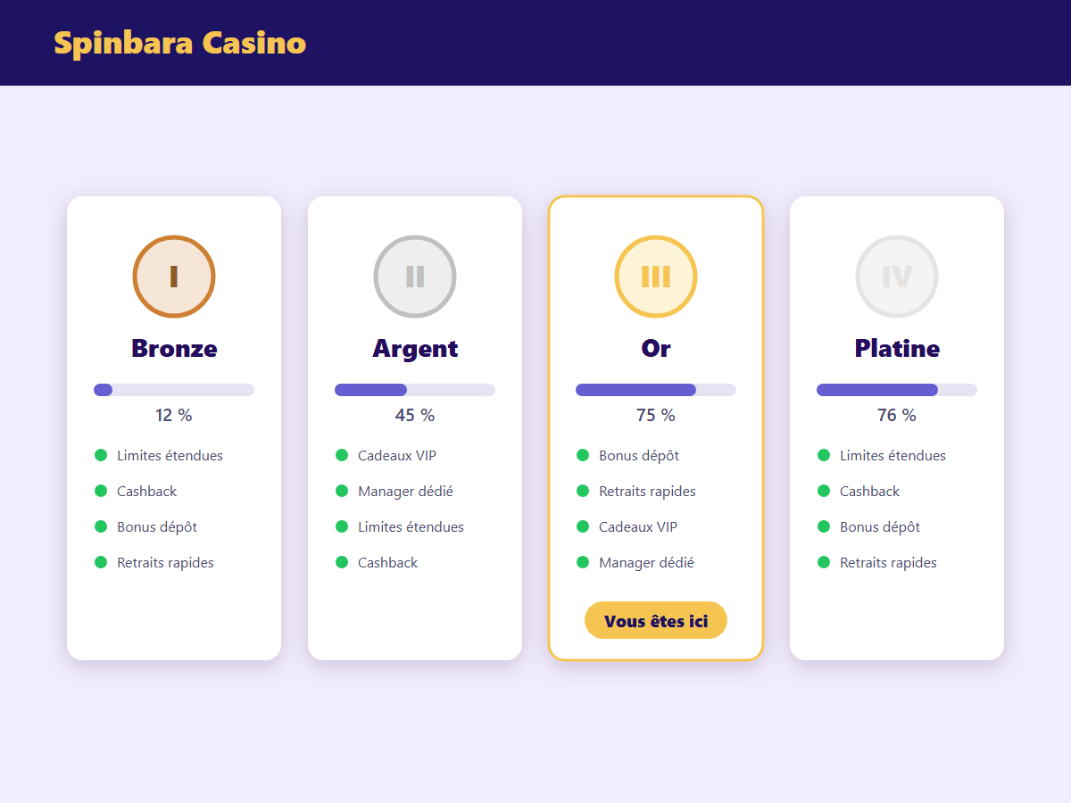 Programme VIP Spinbara Casino